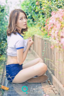 电视剧大唐女将樊梨花